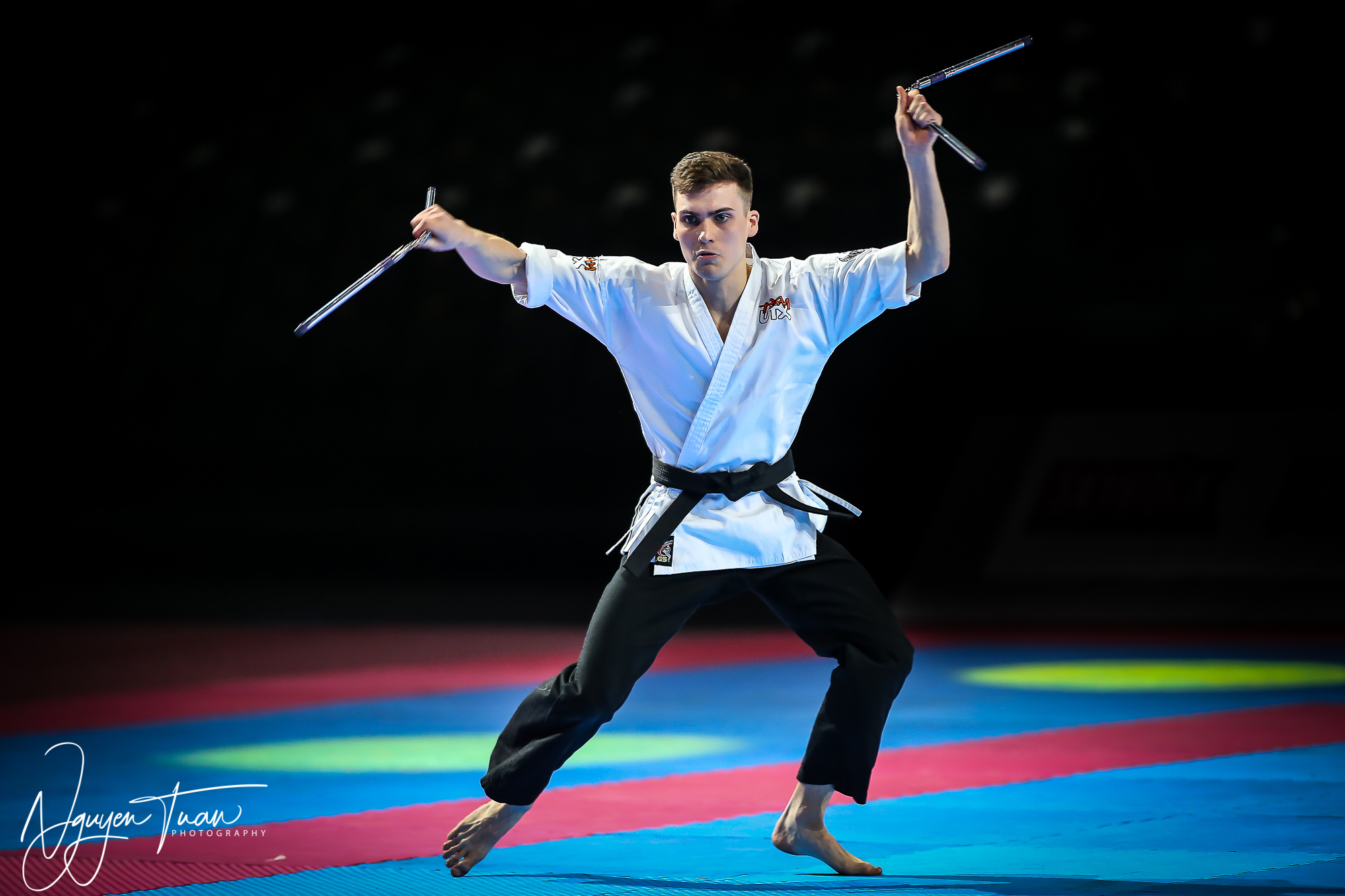 20190324 Festival des Arts Martiaux 0192